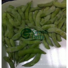 Soja IQF Edamame de alta calidad con vainas